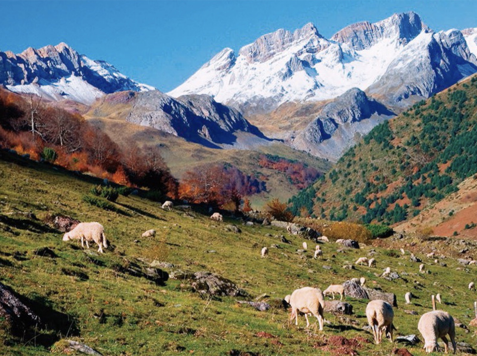 Balneario de Panticosa